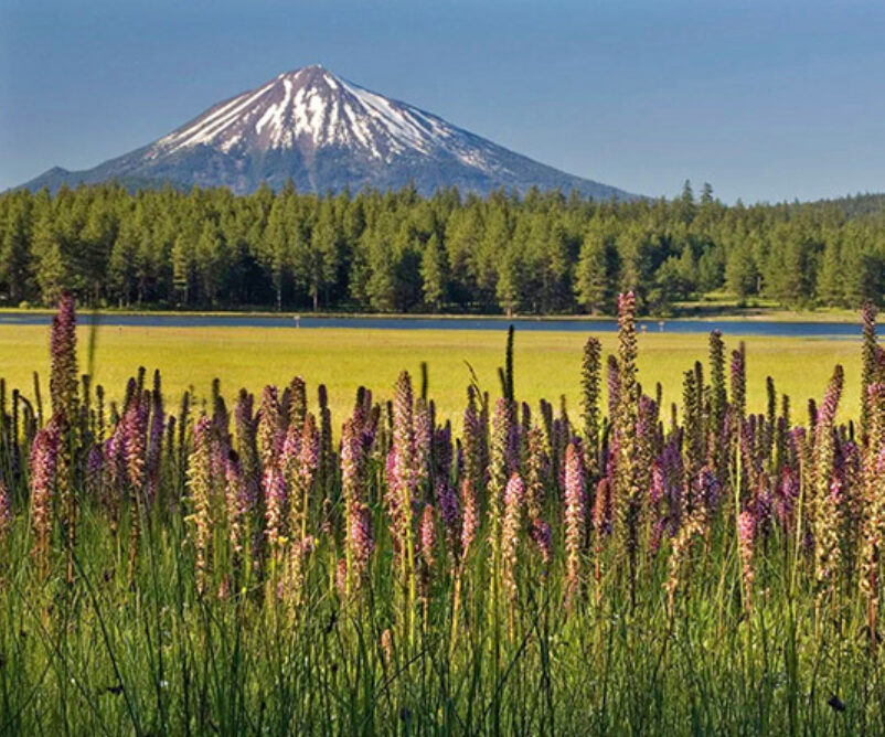 Stewardship of the Area 
We Call Home